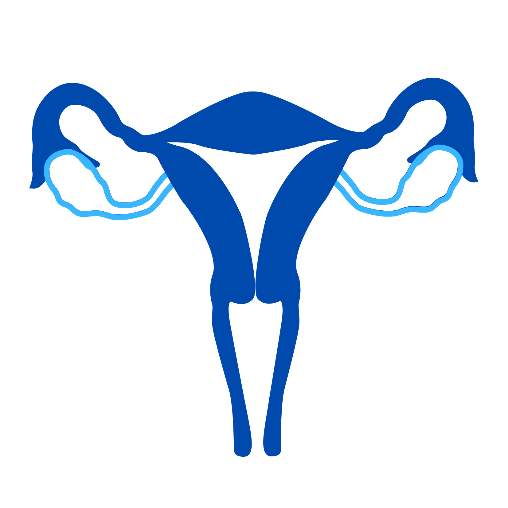 ICON for website